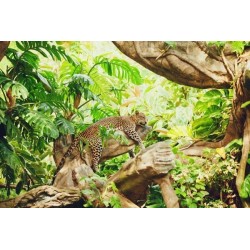 Fototapete Tier im Dschungel